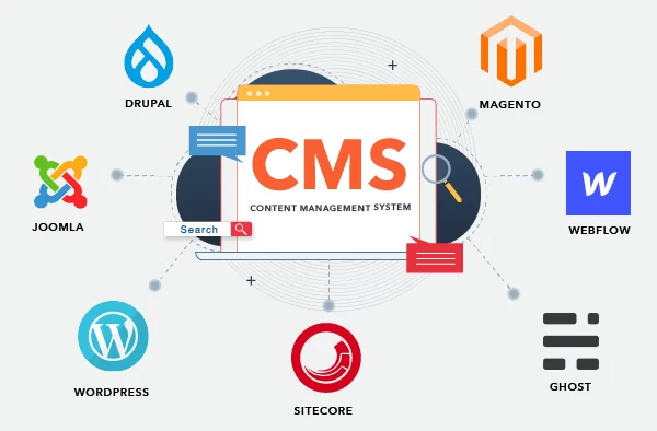 Perfect CMS for Your Small Business Website